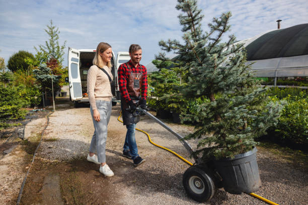 Best Weed Control  in USA